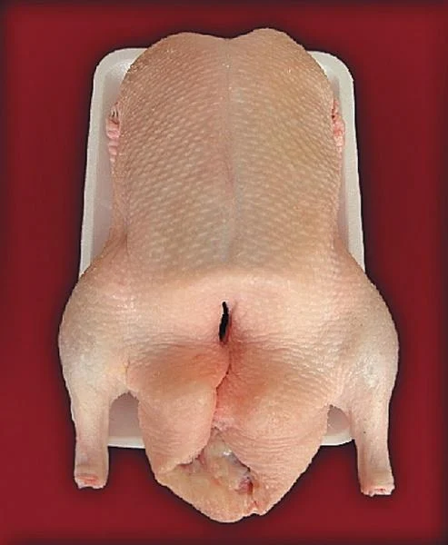 Frozen Duck Carcasses