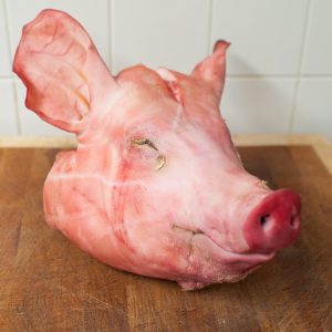 Frozen Pork Snout