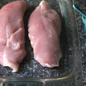 Frozen Turkey Medallions