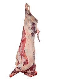 Frozen Beef Half Carcass