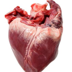 Frozen Pork Heart