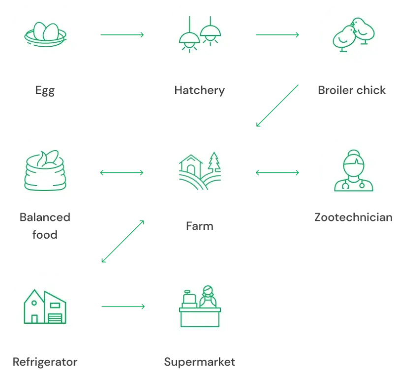 Vibra Agroindustrial SA Full Production Line 