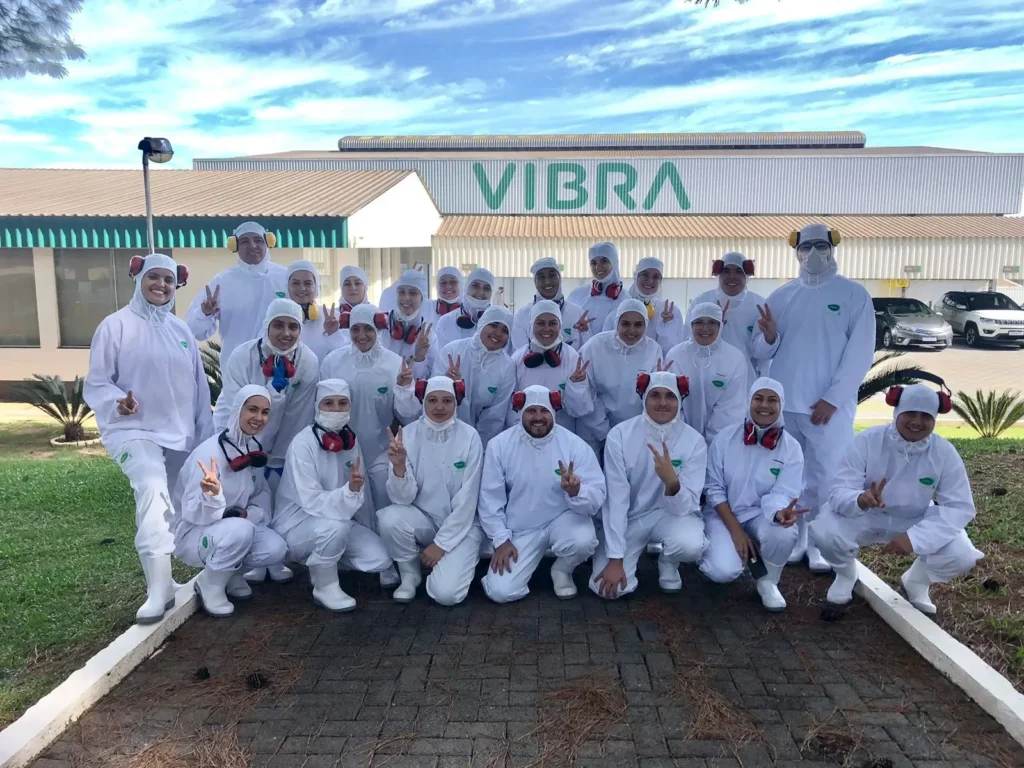 Vibra Agroindustrial Governance Brazil 
