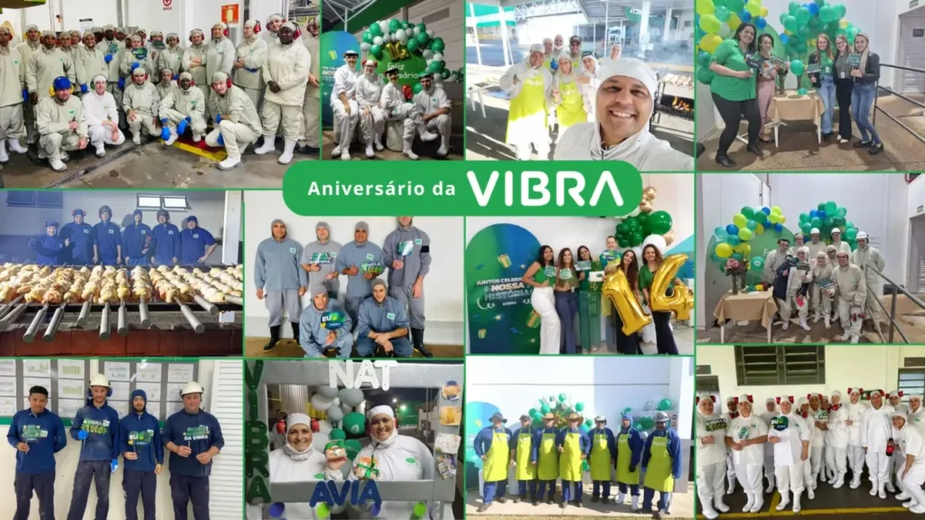 Vibra Agroindustrial Production Brazil (1)